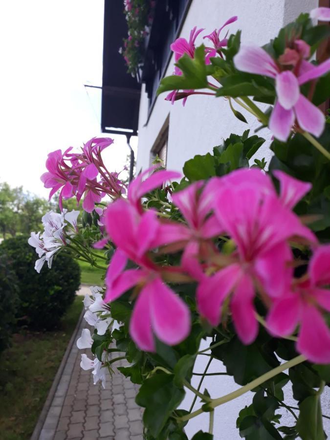 Apartment Lena Gornji Vaganac Esterno foto